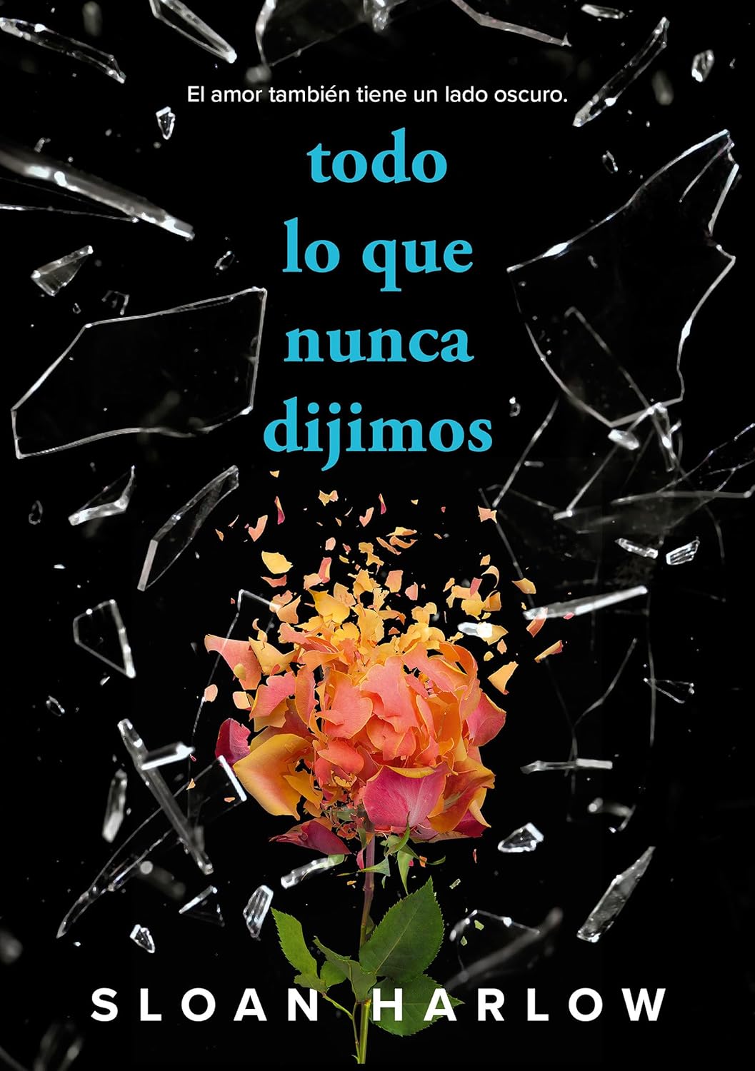 Todo lo que nunca dijimos
